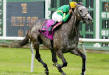 West Lodge Stud Snowdrops Politely Stakes 2005